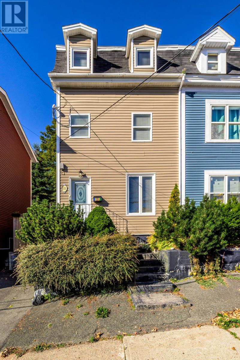 133 Patrick Street Property Photo 3