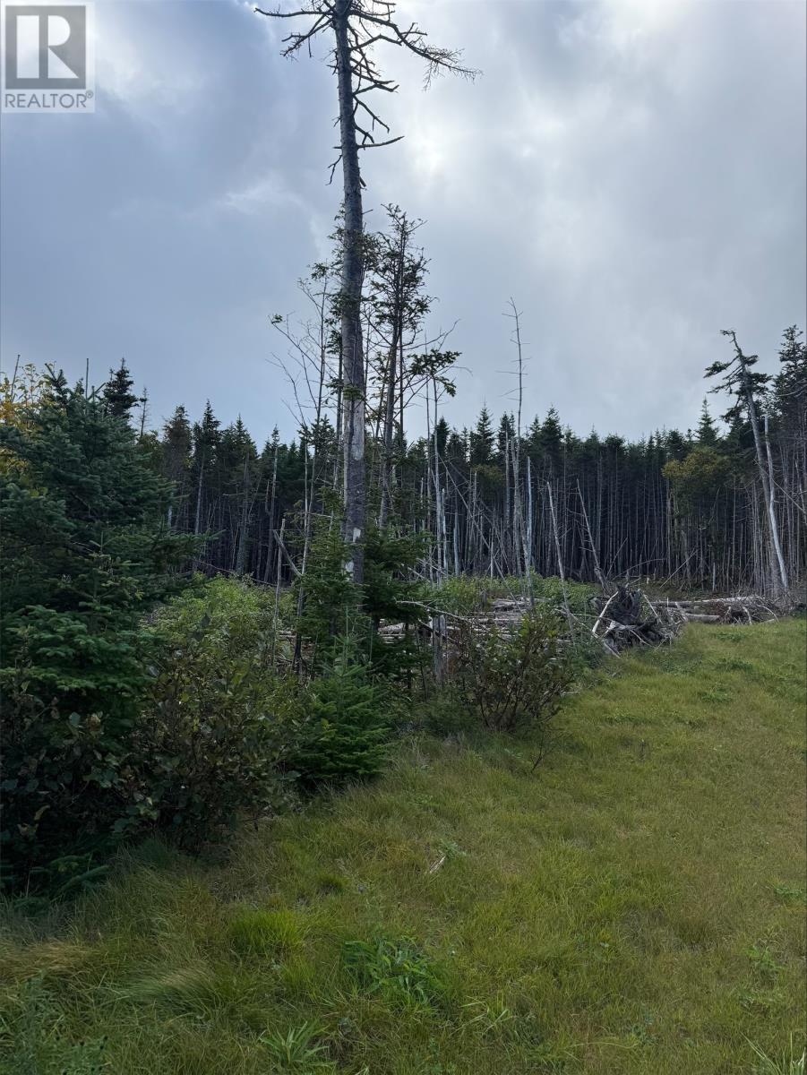 Lot 13 Southern Shore Highway Photo de la propriété 1