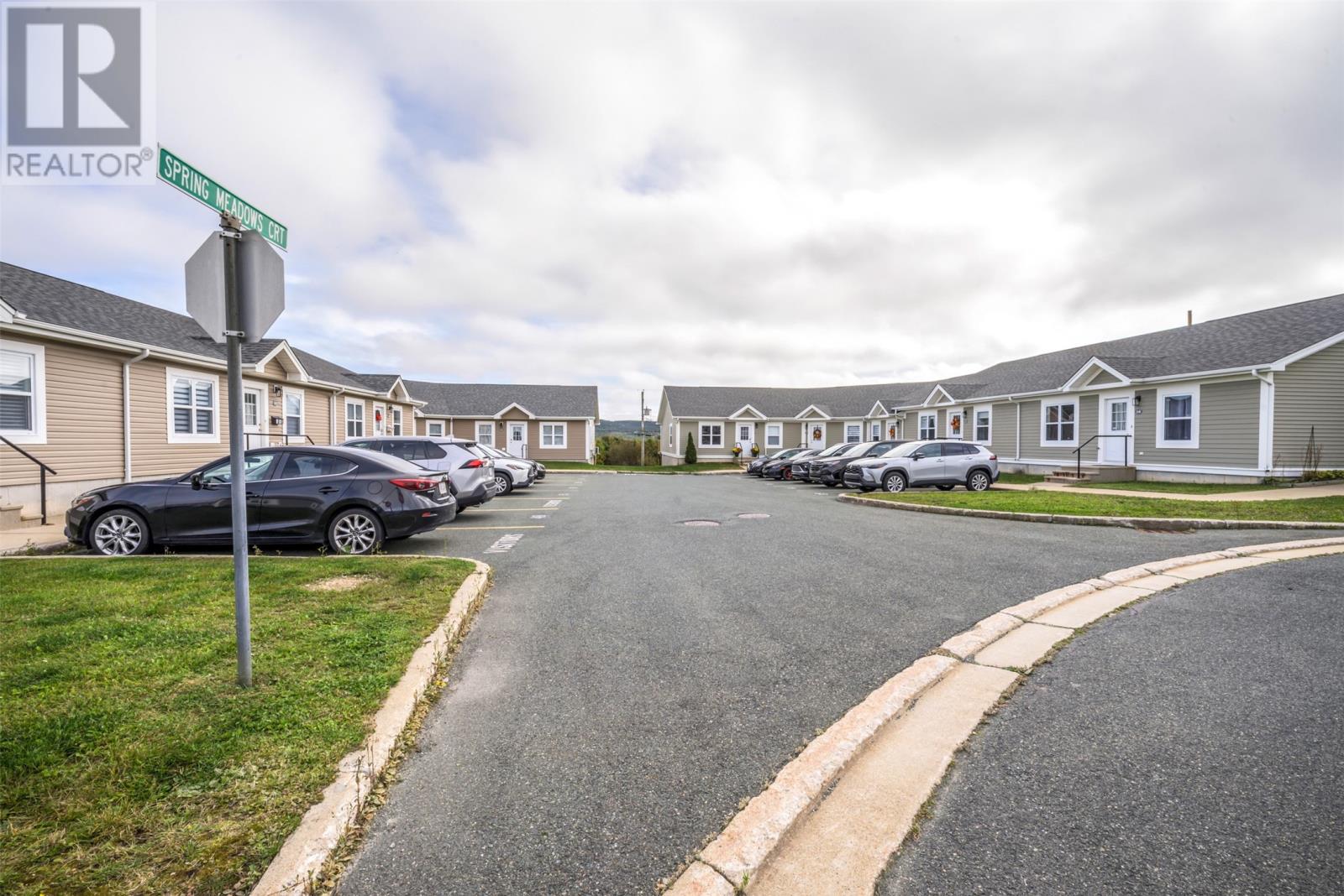 20 Spring Meadow Court Property Photo 30