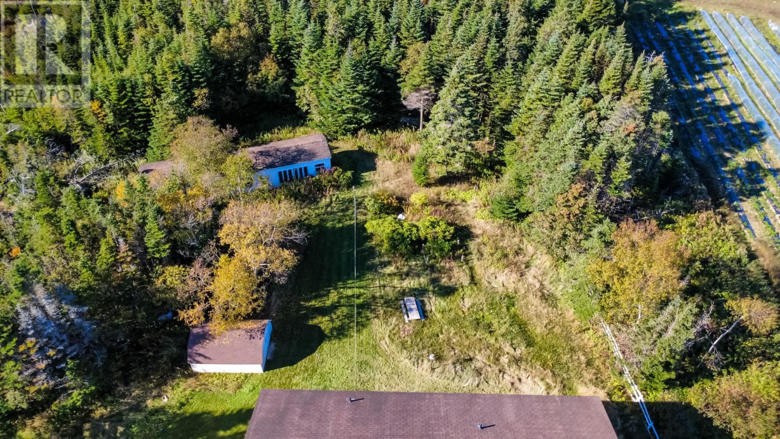 55 Heavy Tree Road Property Photo 39