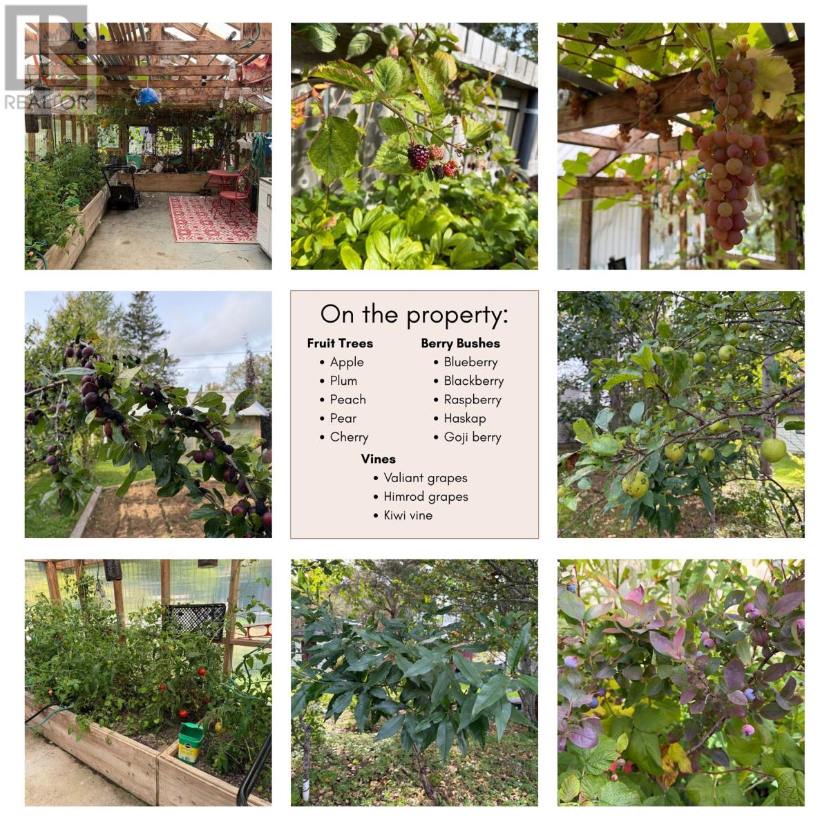 5 Teasdale Street Property Photo 3