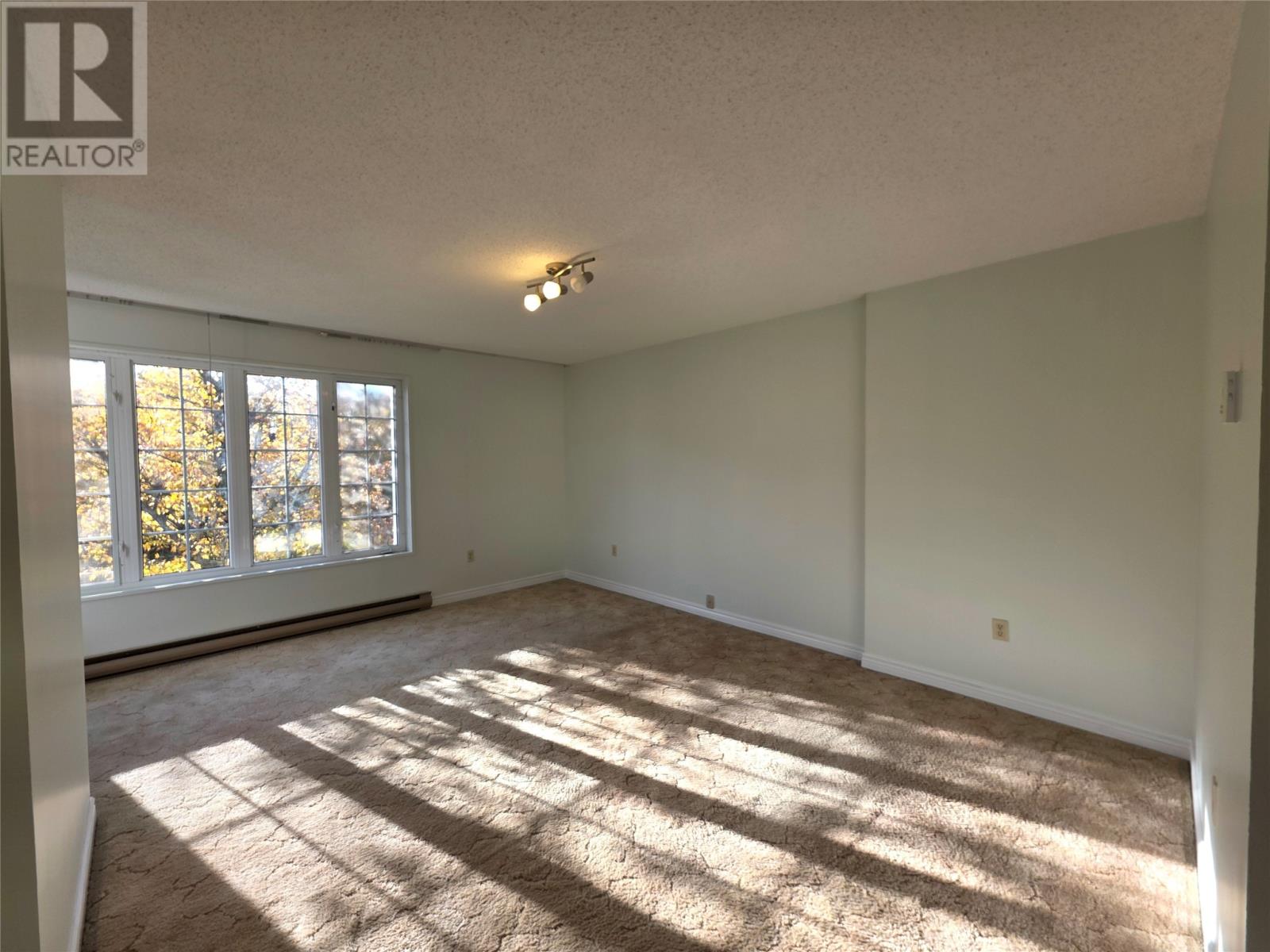 41 Macpherson Avenue Property Photo 18