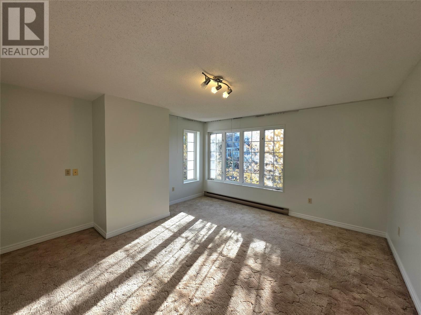 41 Macpherson Avenue Property Photo 19