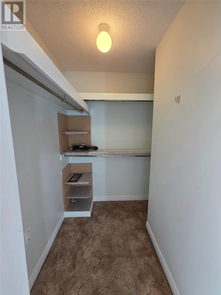 41 Macpherson Avenue Property Photo 20
