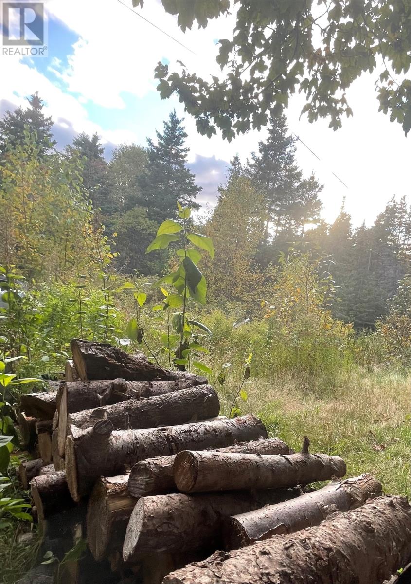 612-614 Harvey Street Property Photo 11
