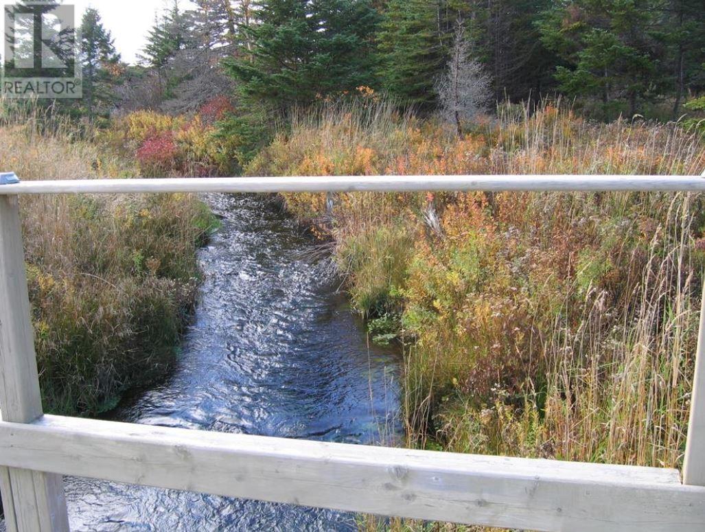 55 Heavy Tree Road Property Photo 36