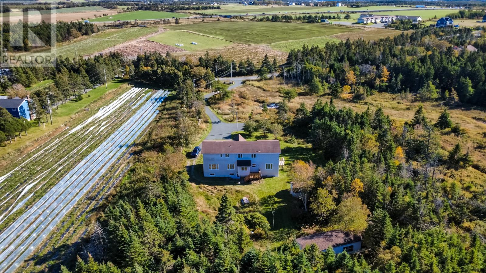 55 Heavy Tree Road Property Photo 39