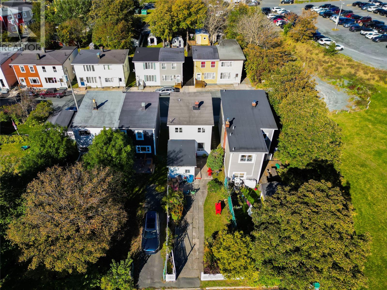 16 Cavell Avenue Property Photo 41