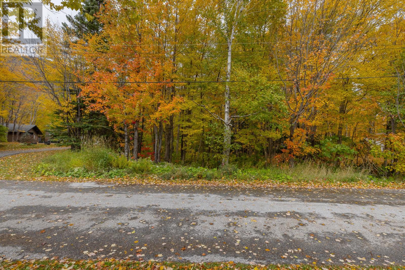 18a Forest Drive Property Photo 6