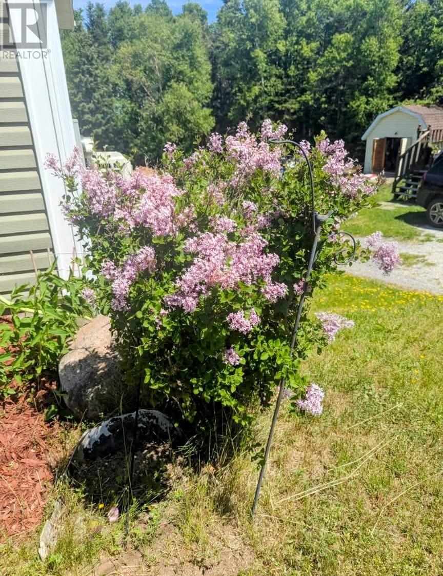 31 Forest Road Property Photo 30