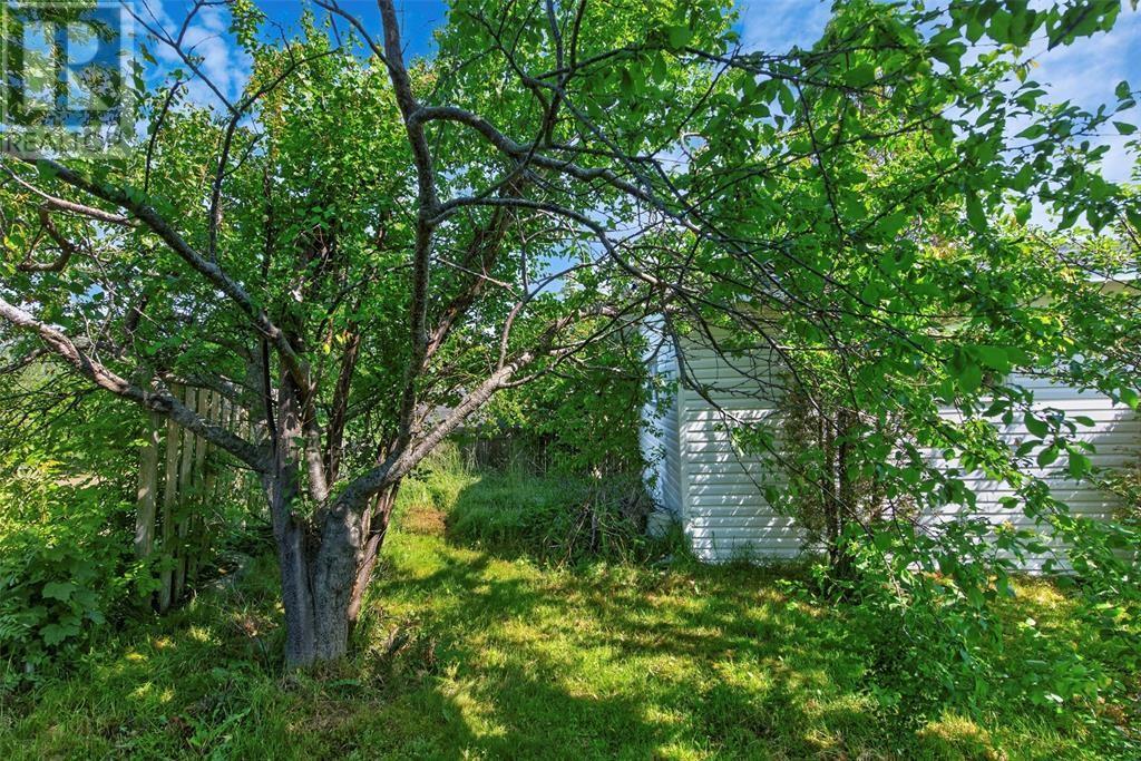 7 Leslie Street Property Photo 16