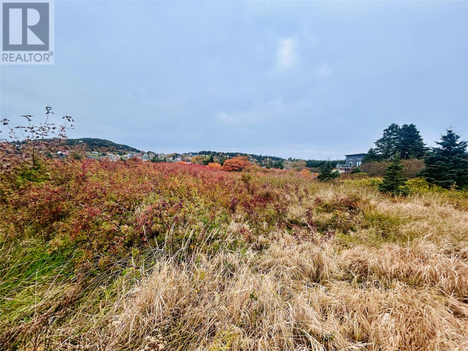 5 Hill Road Property Photo 4