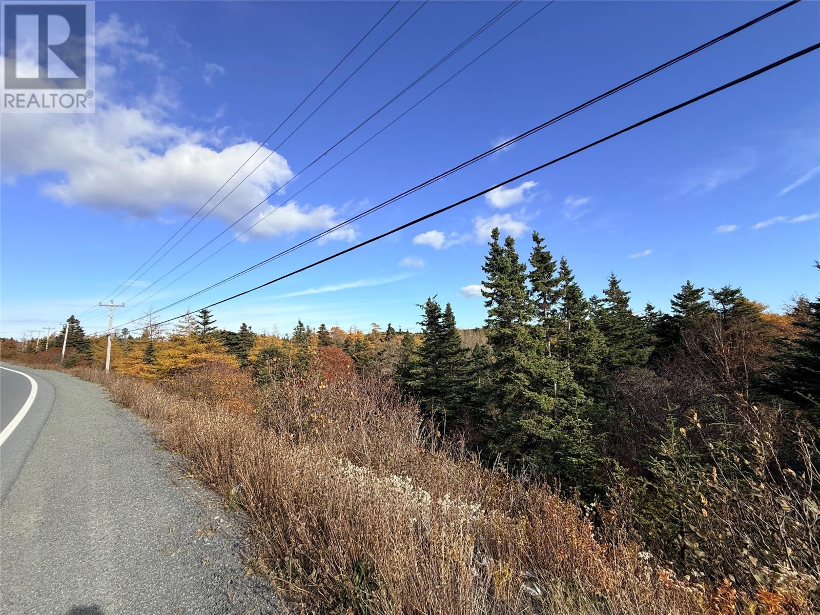 1-2 Conception Bay Highway Property Photo 1