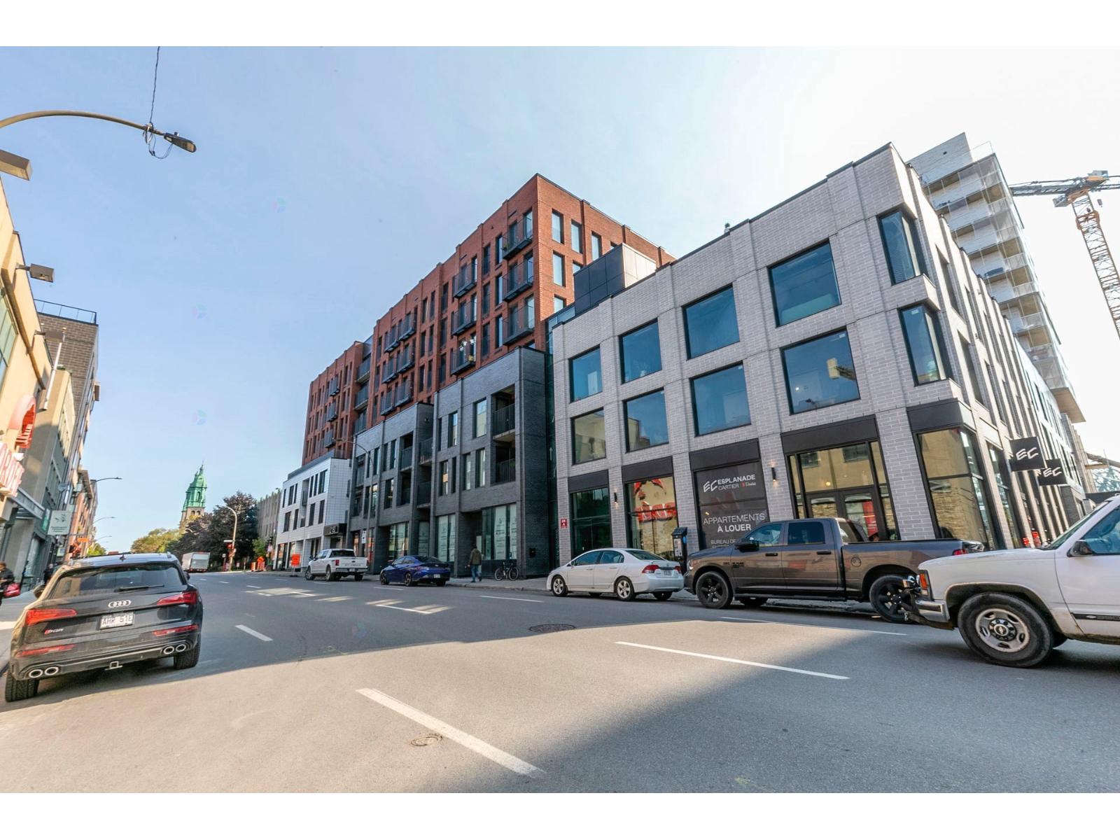 2180 Rue Ste-catherine E., #252 Property Photo 2