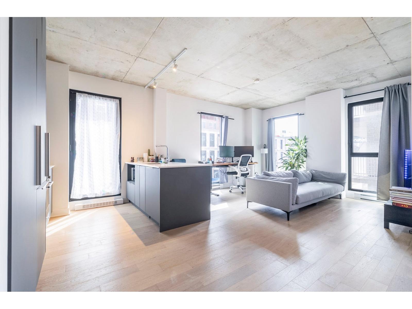 2180 Rue Ste-catherine E., #252 Property Photo 4