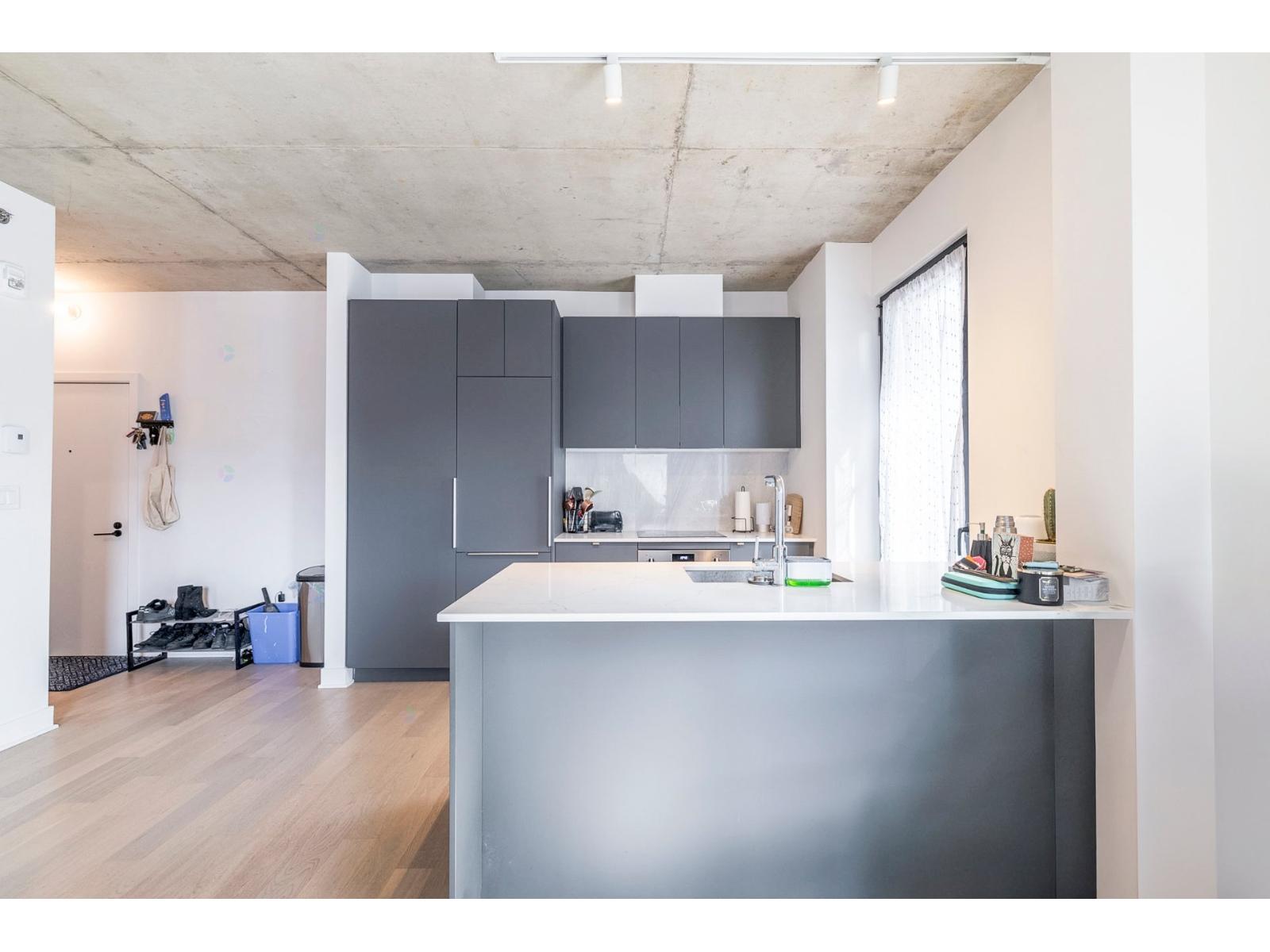 2180 Rue Ste-catherine E., #252 Property Photo 5