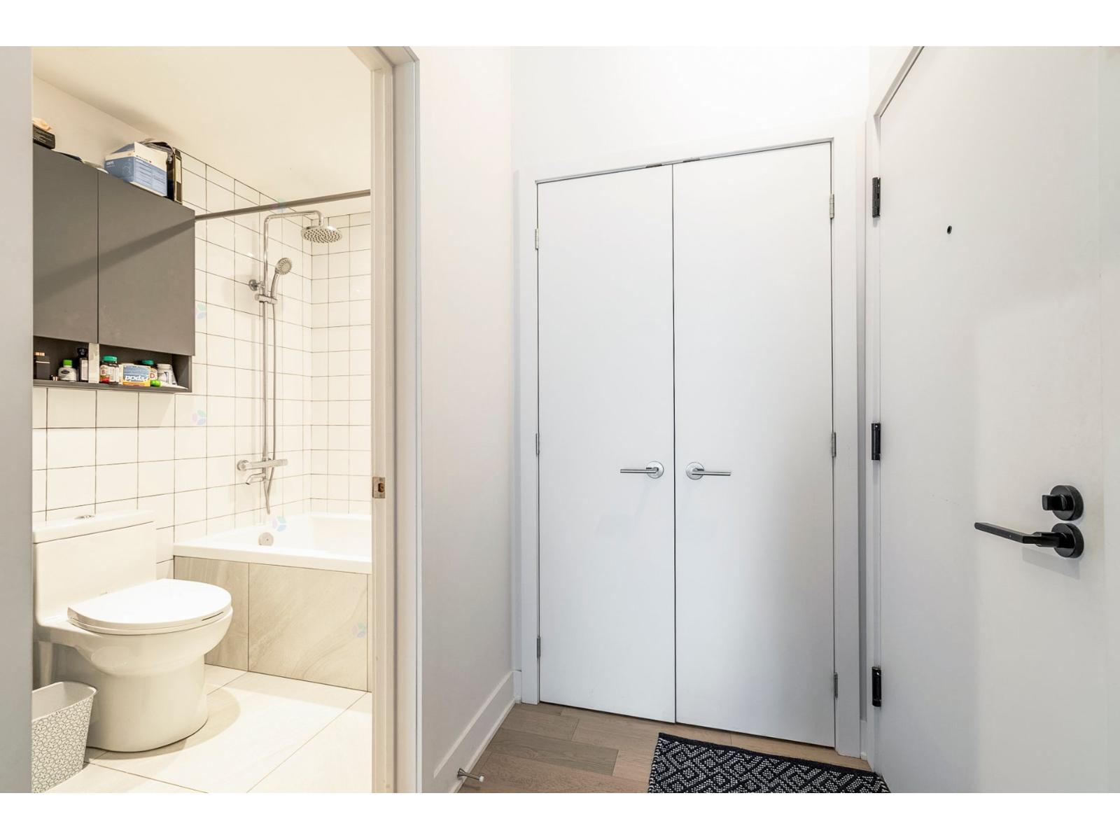 2180 Rue Ste-catherine E., #252 Property Photo 10