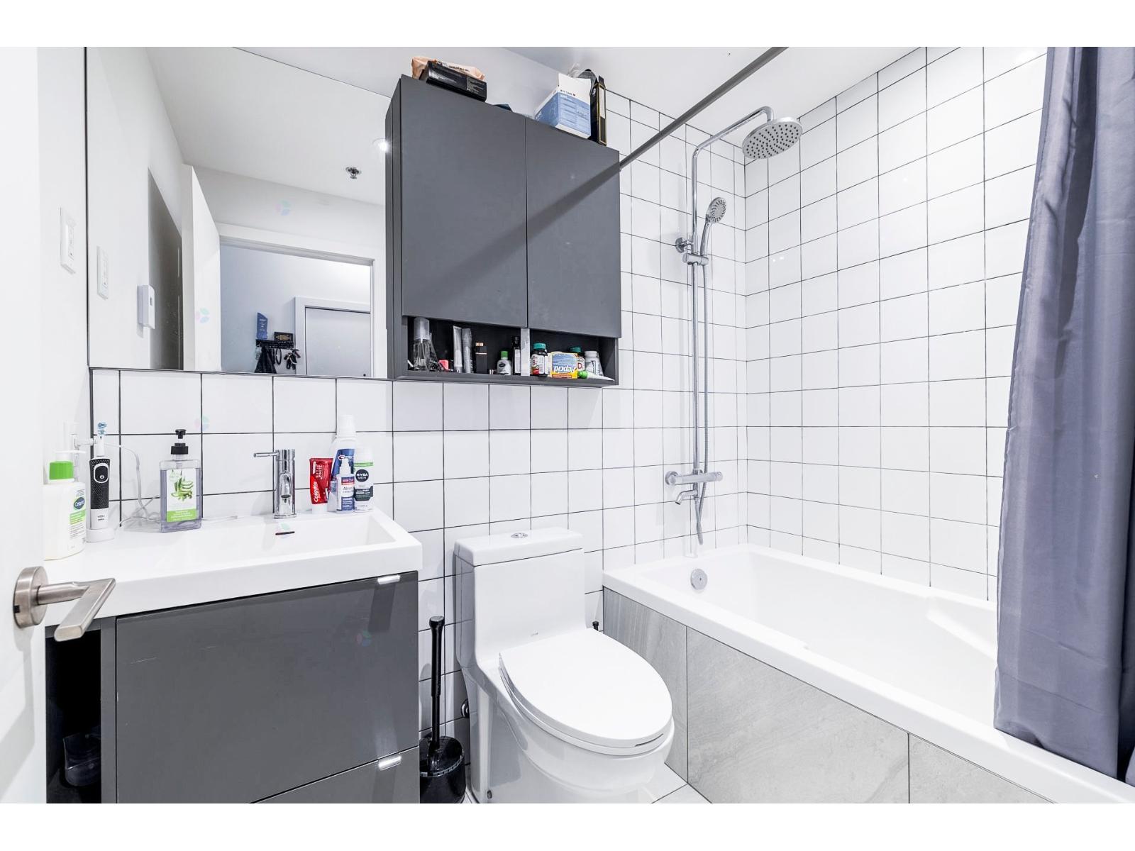 2180 Rue Ste-catherine E., #252 Property Photo 11