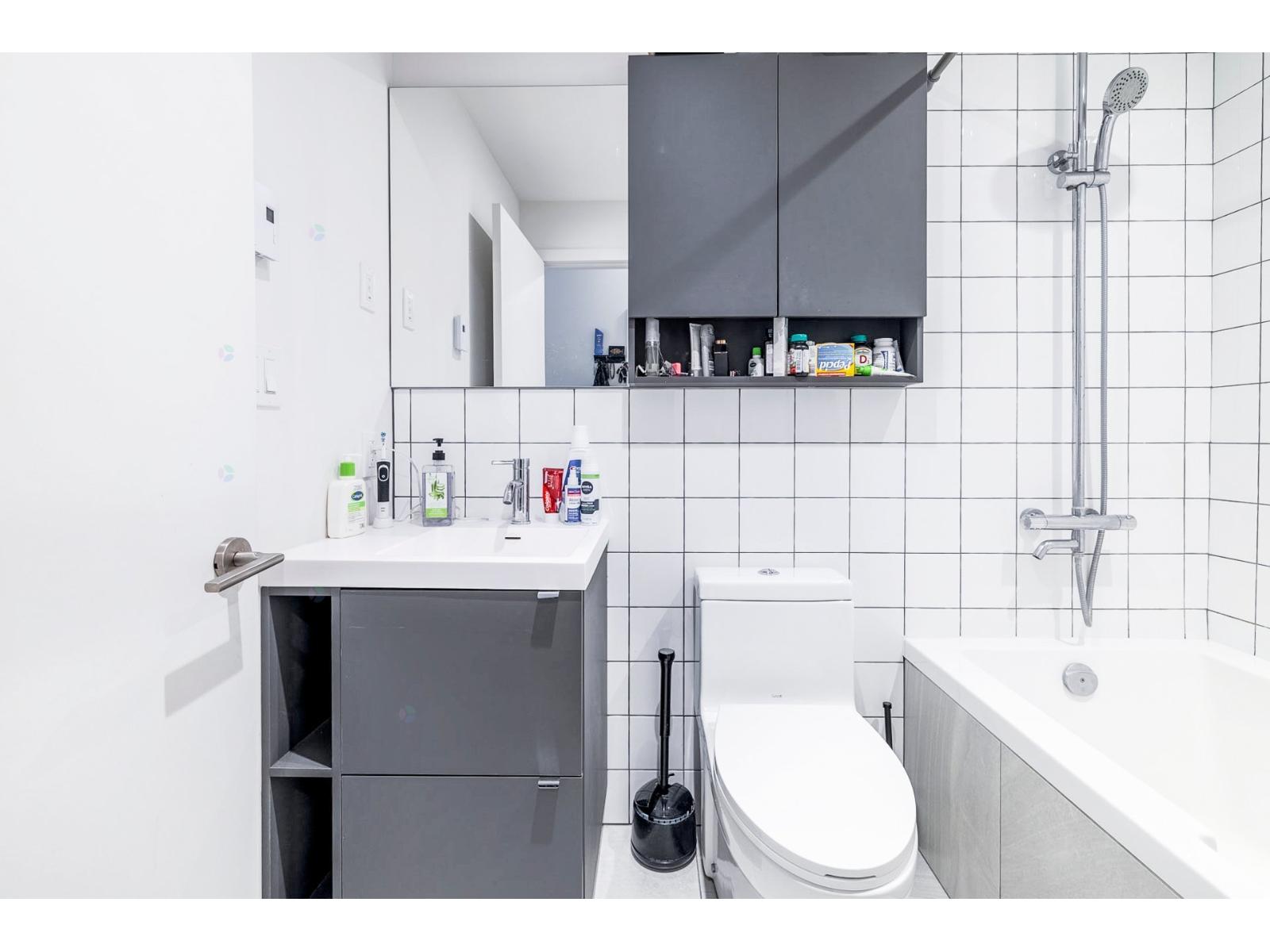 2180 Rue Ste-catherine E., #252 Property Photo 12