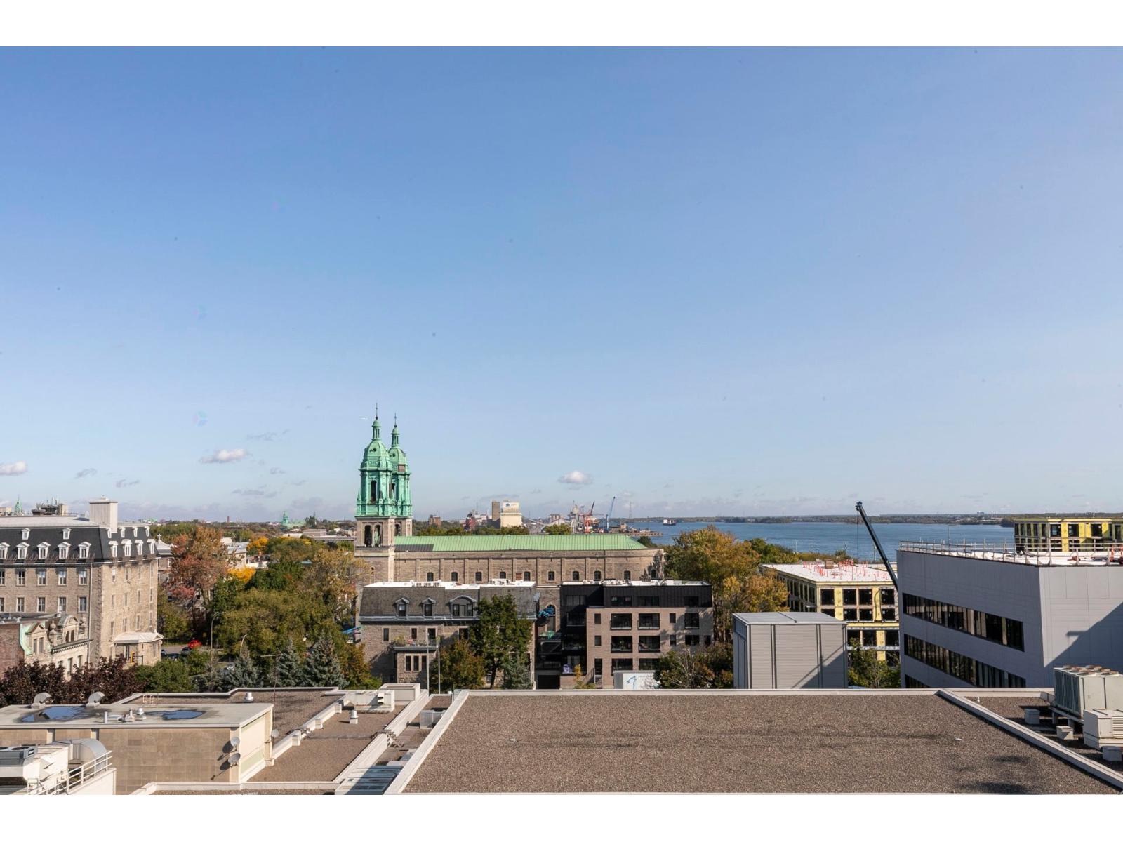 2180 Rue Ste-catherine E., #252 Property Photo 25