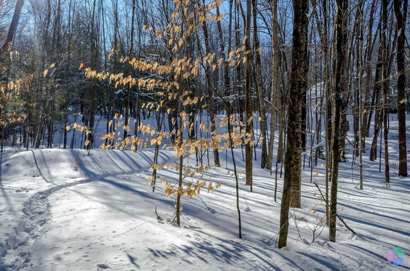 Ch. Poissant Property Photo 8
