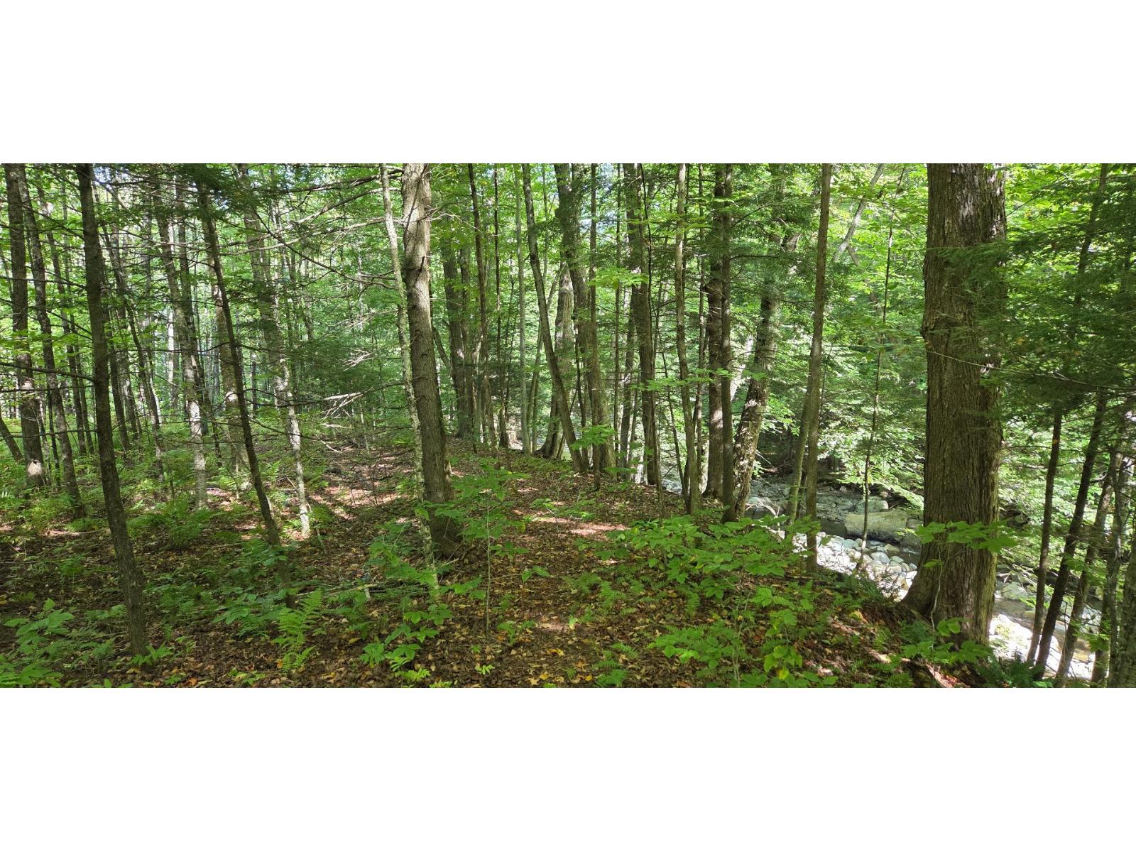 Ch. Poissant Property Photo 10