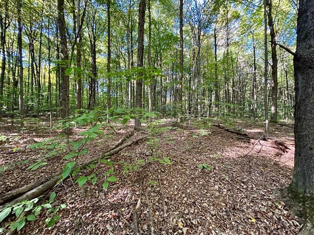 Ch. Raoul-mallette Property Photo 1
