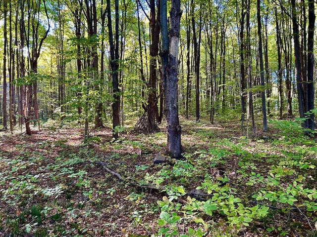 Ch. Raoul-mallette Property Photo 9