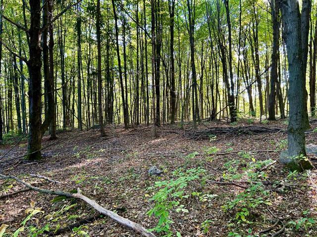 Ch. Raoul-mallette Property Photo 10