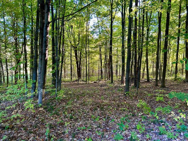 Ch. Raoul-mallette Property Photo 11