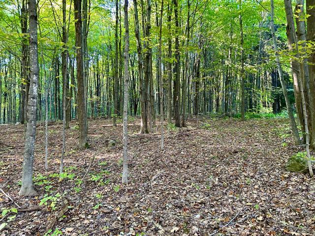 Ch. Raoul-mallette Property Photo 13