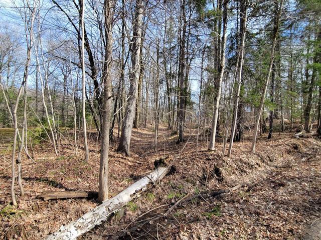 Rue Dequoy Property Photo 4