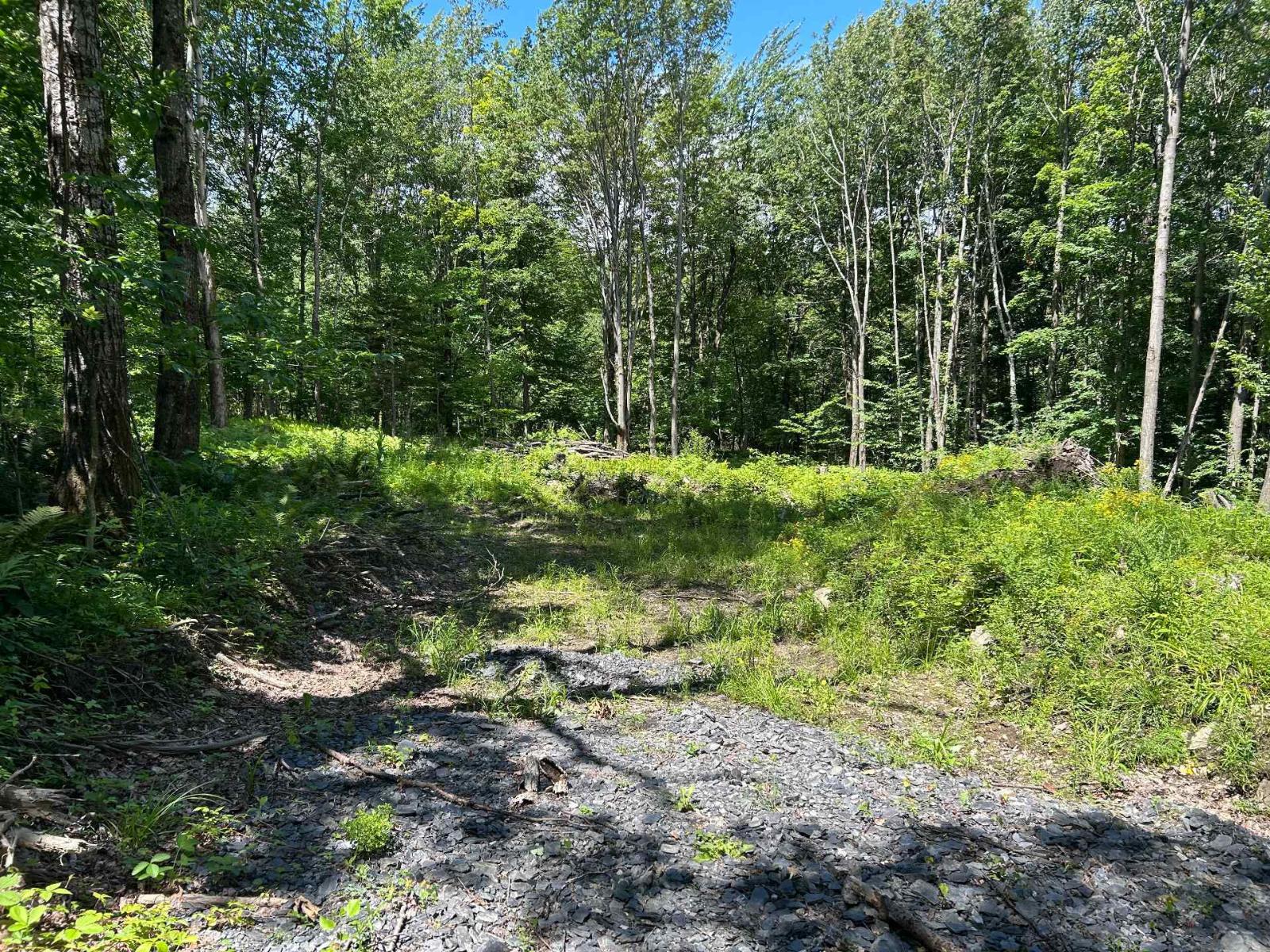 Ch. Ware-derby Property Photo 6