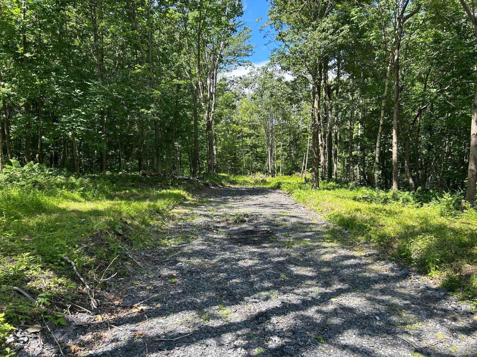 Ch. Ware-derby Property Photo 7