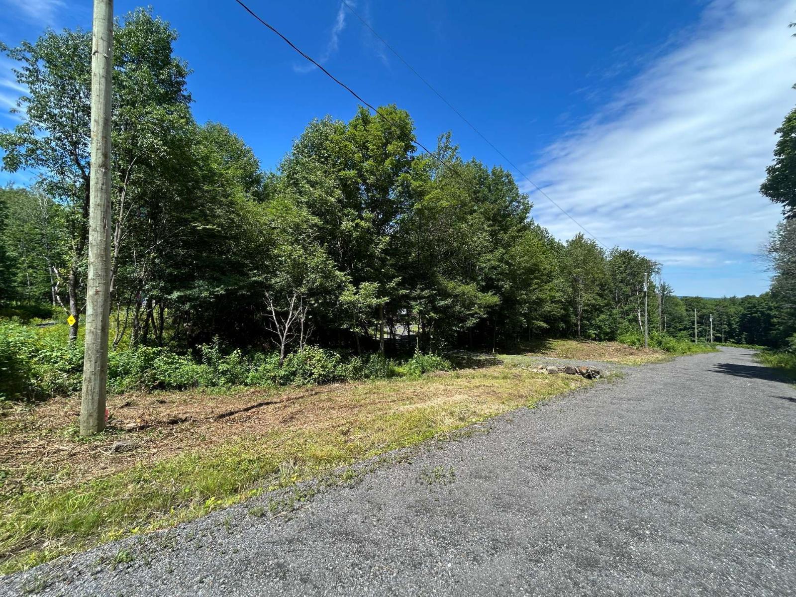 Ch. Ware-derby Property Photo 8