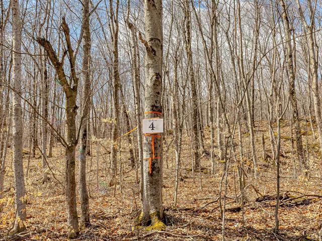 4 Ch. du Lac-Morgan Property Photo 1