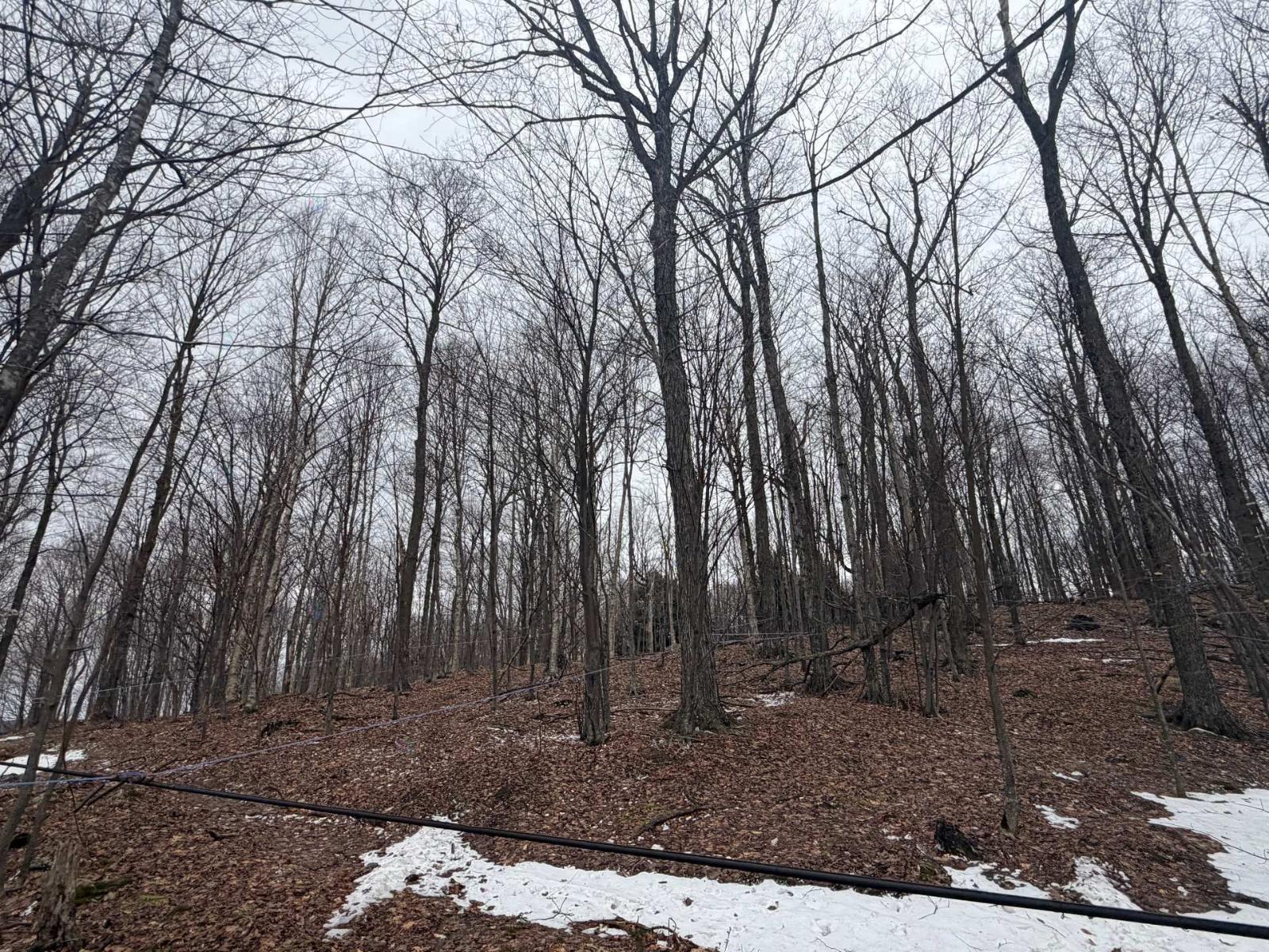 7230z Ch. Roberge Property Photo 15