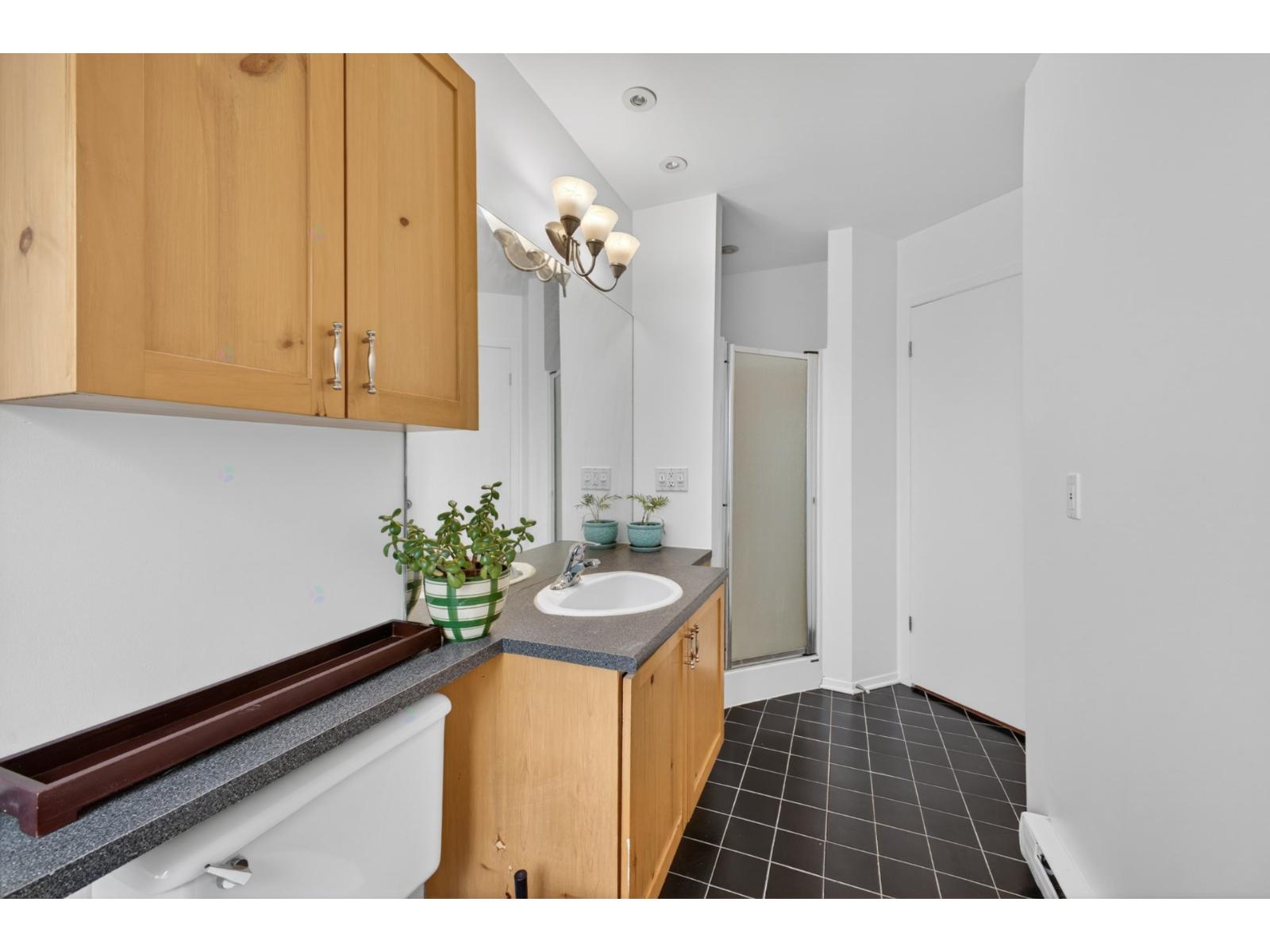 3385 Rue J.-a.-descarries Property Photo 21