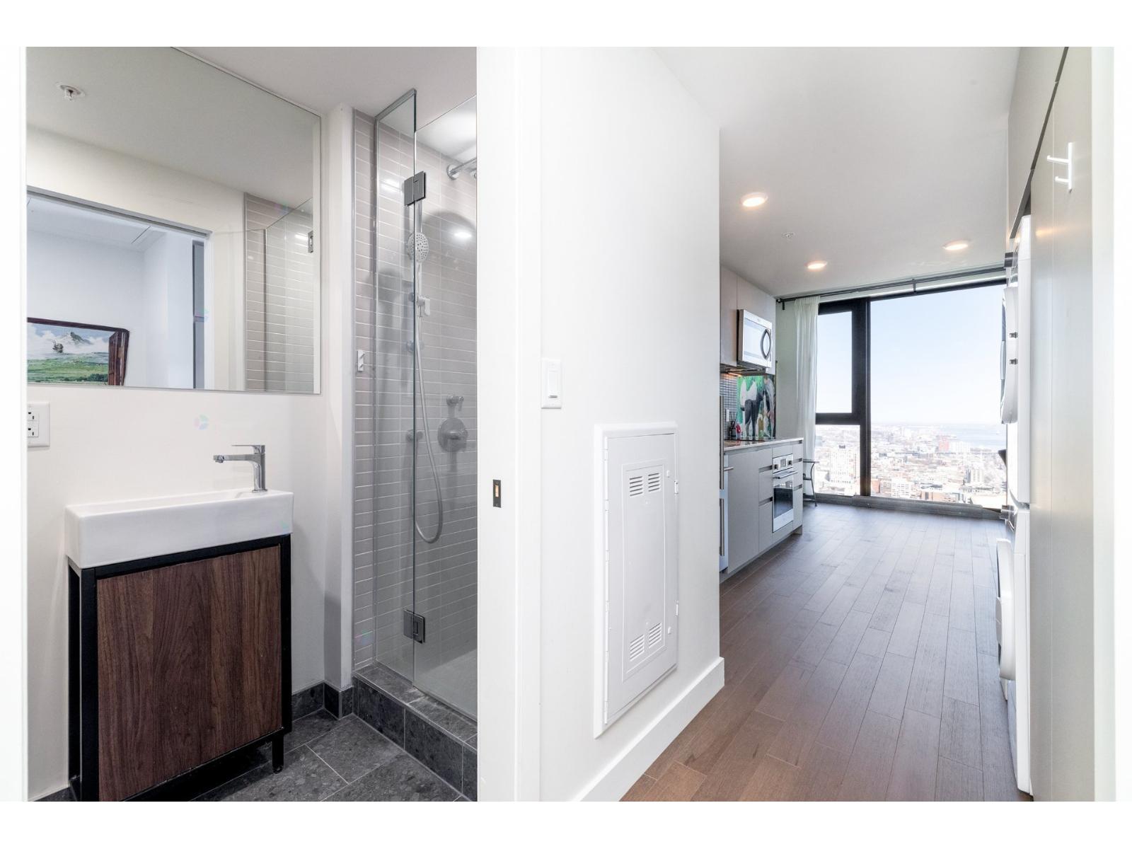 1210 Rue Jeanne-mance, #4712 Property Photo 7