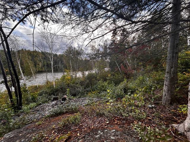 Ch. Du Lac-sophie Property Photo 6
