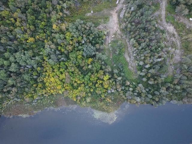Ch. Du Lac-sophie Property Photo 10