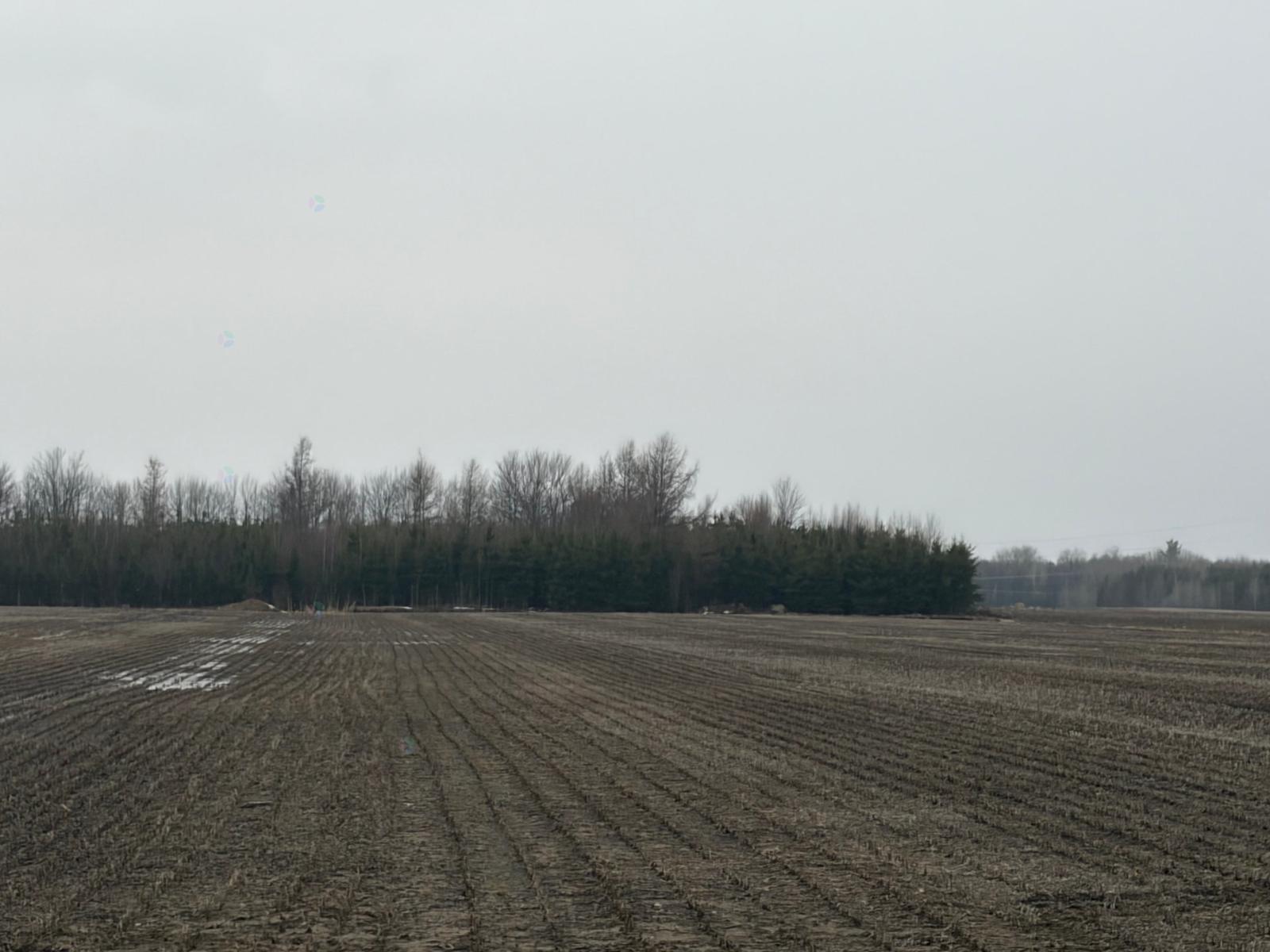 Boul. Du Parc-industriel Property Photo 3