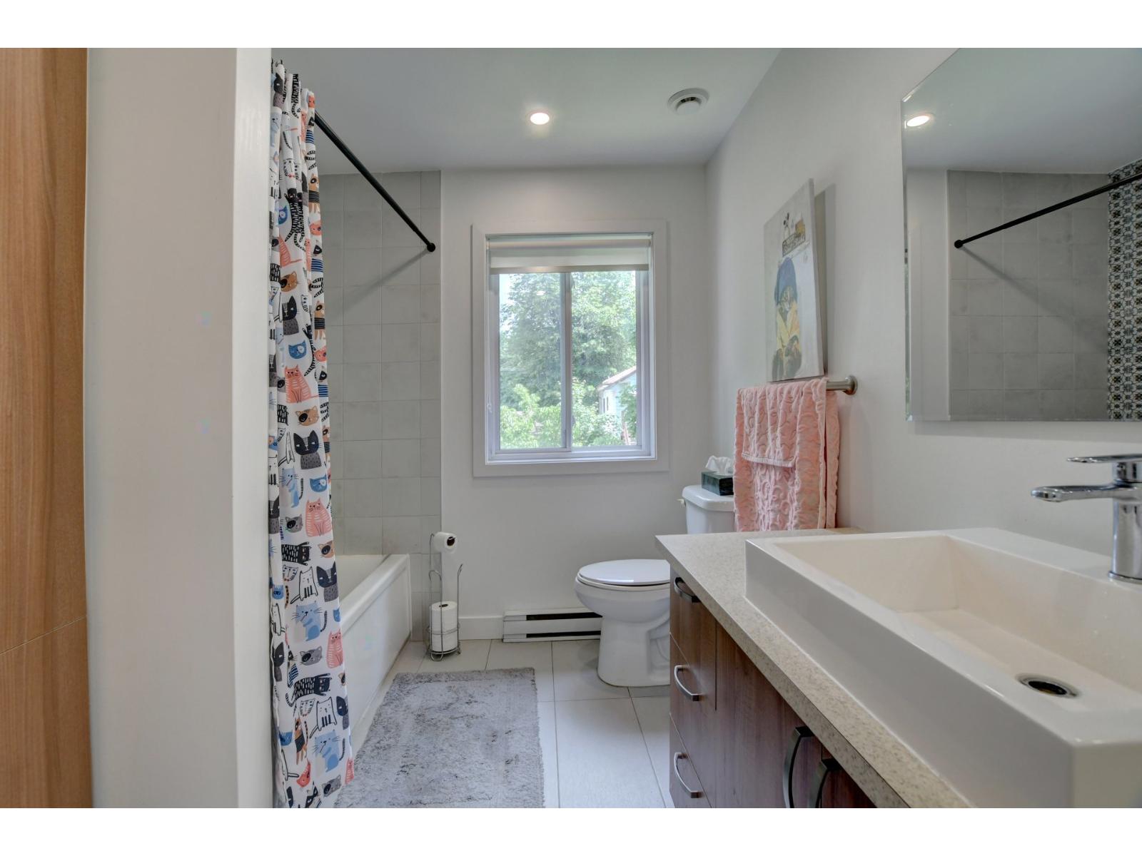 293-295 23e Avenue Property Photo 53