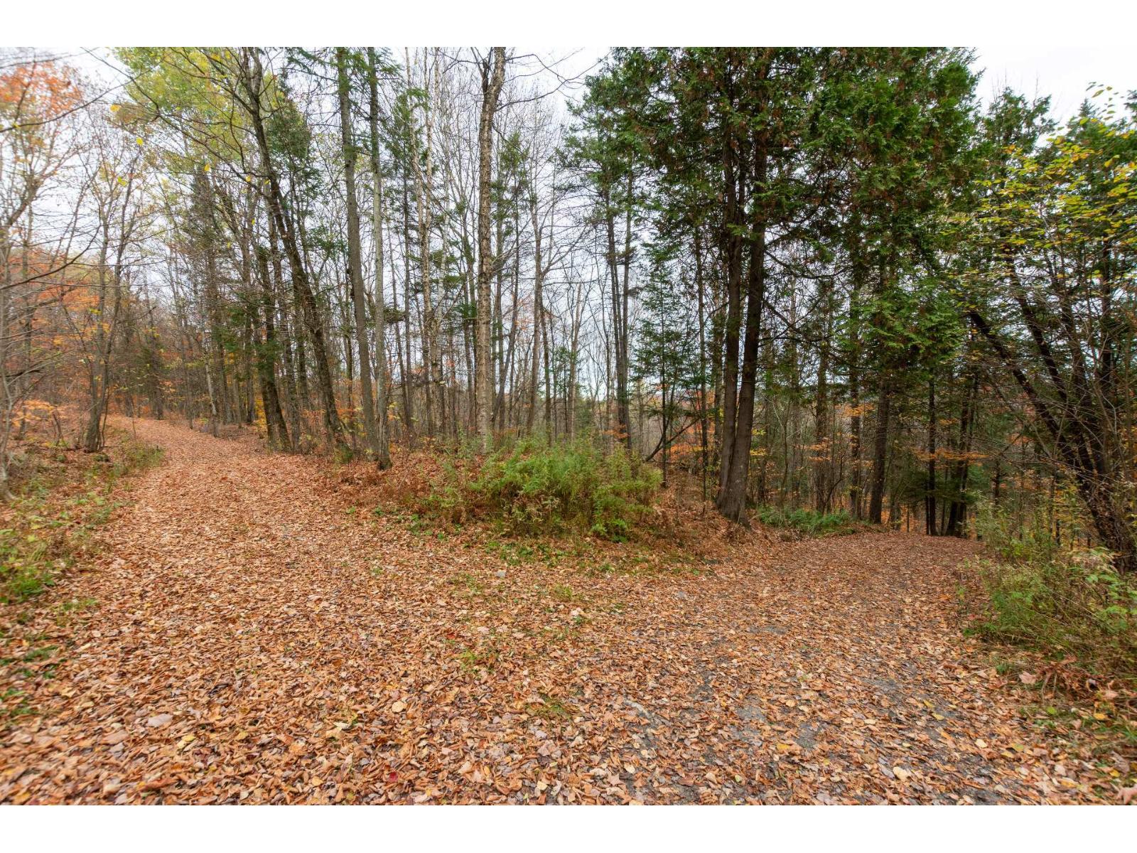 61x Route 255 Property Photo 11
