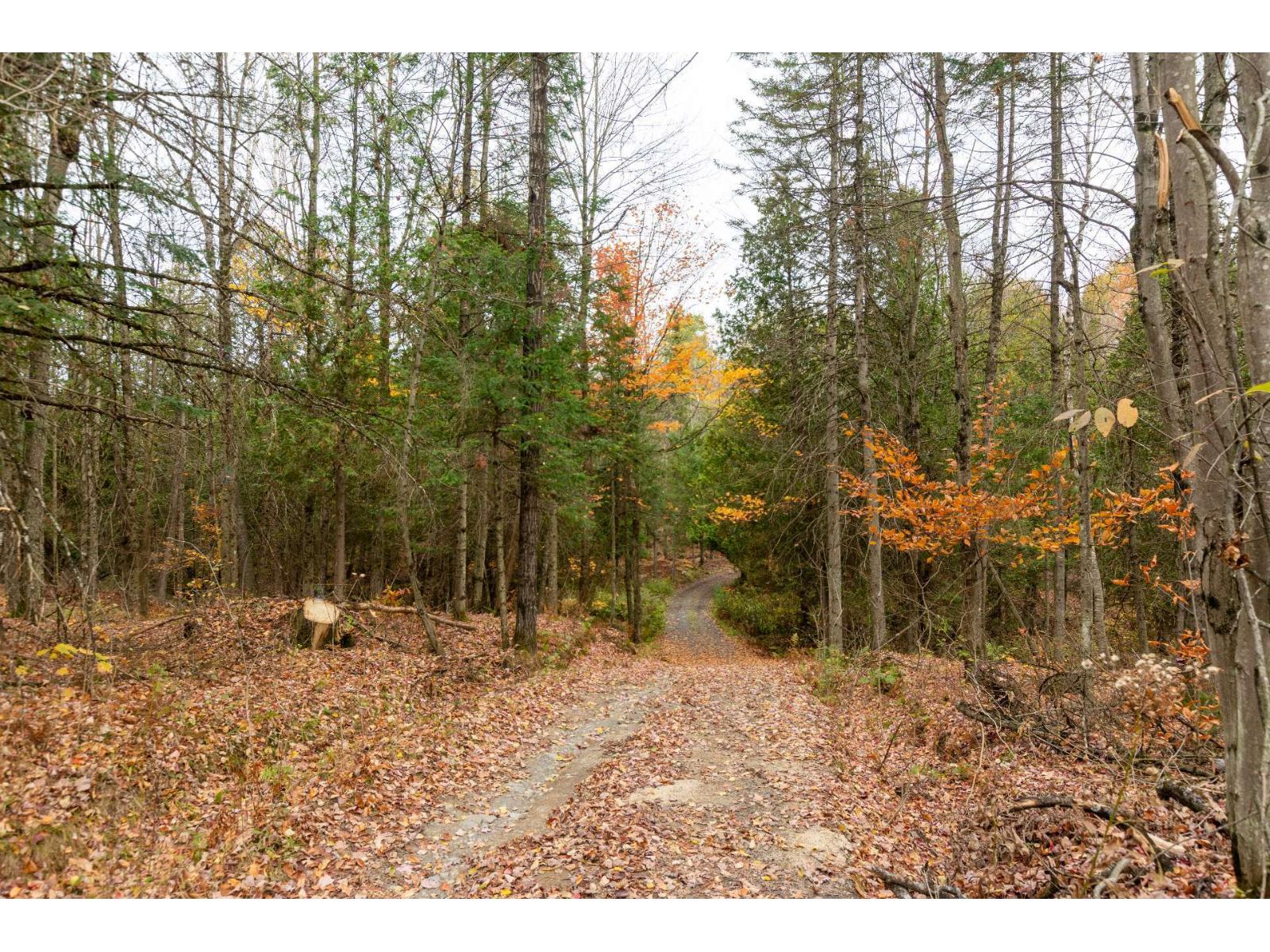 61x Route 255 Property Photo 15