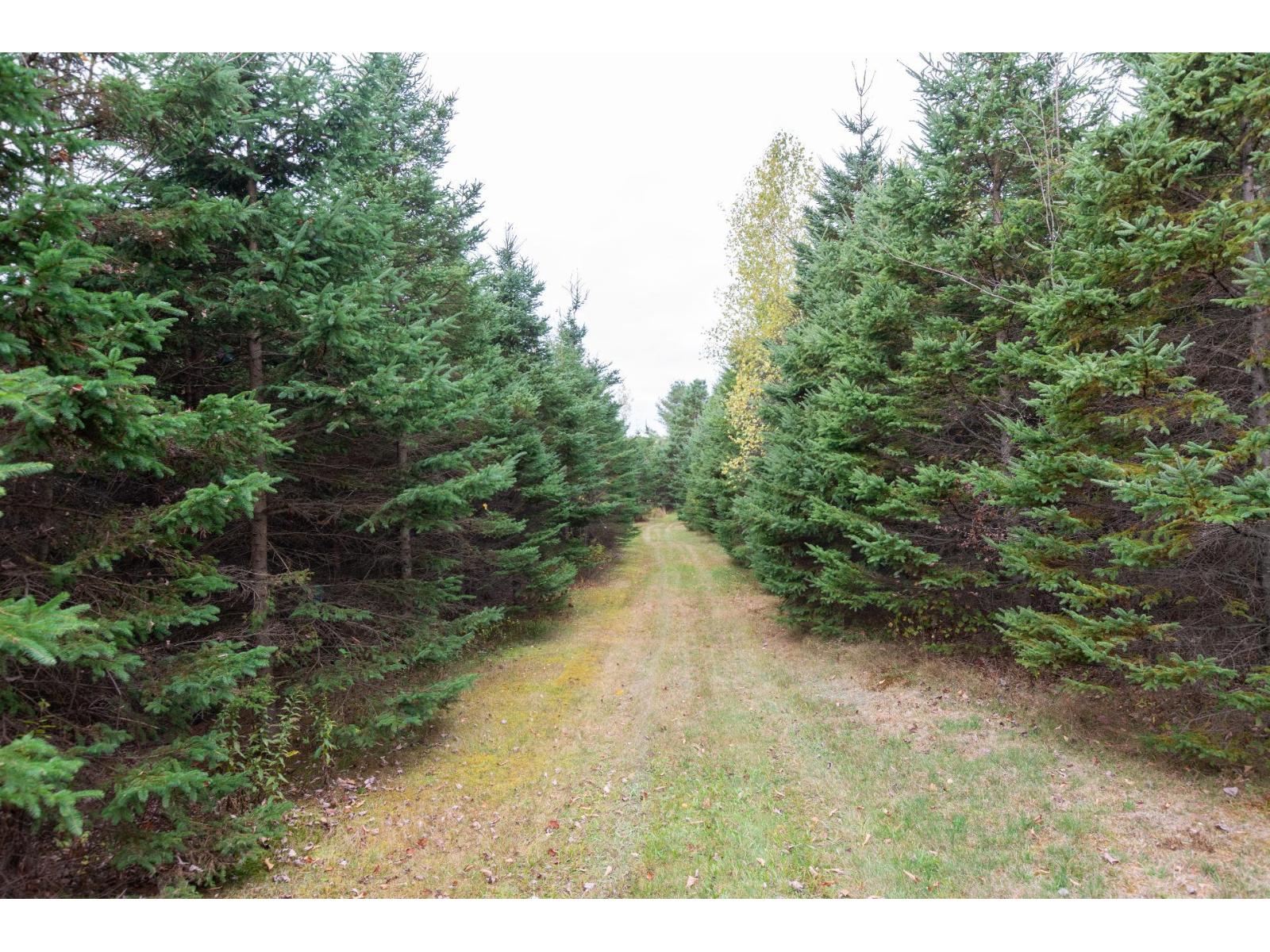 61x Route 255 Property Photo 17