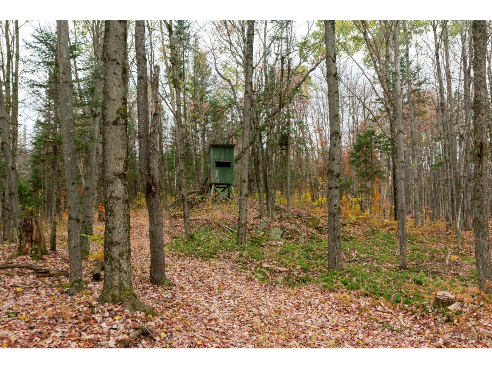 61x Route 255 Property Photo 59