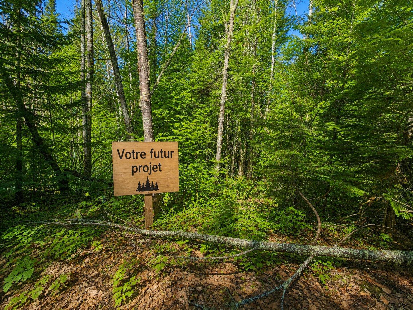 Ch. Du Ruisseau Property Photo 1