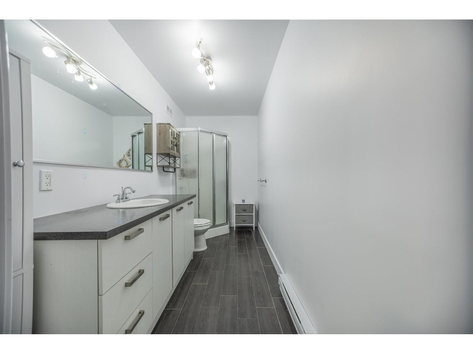 50 Rue Jacques-riopel Property Photo 20