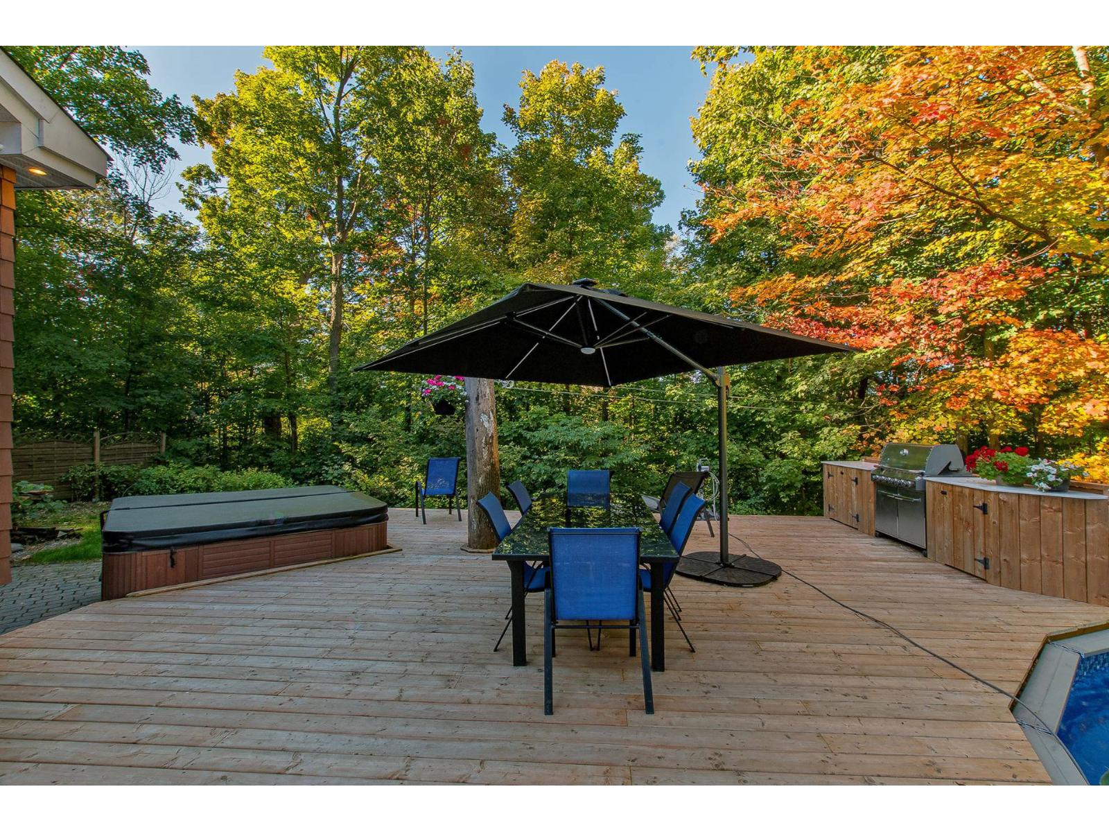 234 Rue Lucerne Property Photo 42